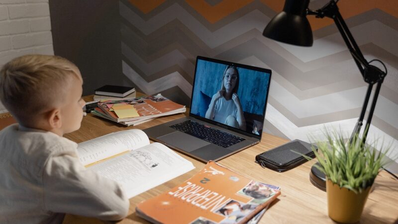 Which State Has the Strictest Homeschool Laws?